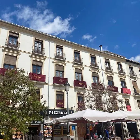 Bibo Plaza Nueva *