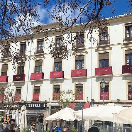 Bibo Plaza Nueva *