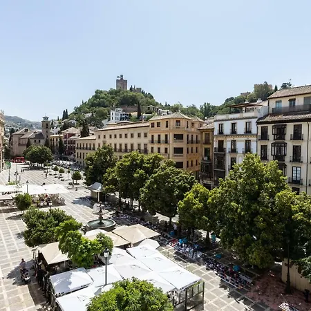 Bibo Plaza Nueva *