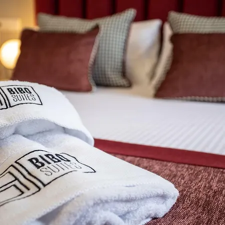 Apartamento Bibo Plaza Nueva