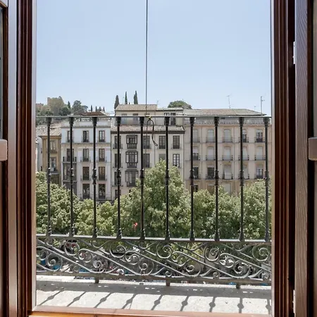 Bibo Plaza Nueva *